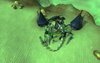 2011-06-08_135342.jpg